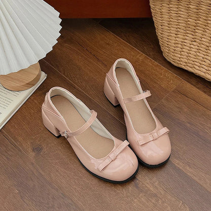 New Mary Jane Shoes Low Heel Shoes Buckle Single Shoes College Style Footwear Single Pumps