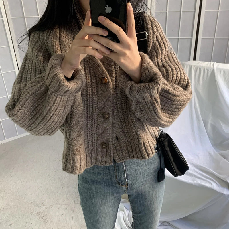 Long Sleeve Cardigan Crochet Sweater Autumn Winter Korean Vneck Single Breasted Short Tops