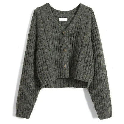 Long Sleeve Cardigan Crochet Sweater Autumn Winter Korean Vneck Single Breasted Short Tops