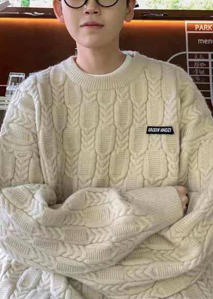 Simple Apricot O Neck Thick Cable Knit Sweaters Fall Qh033