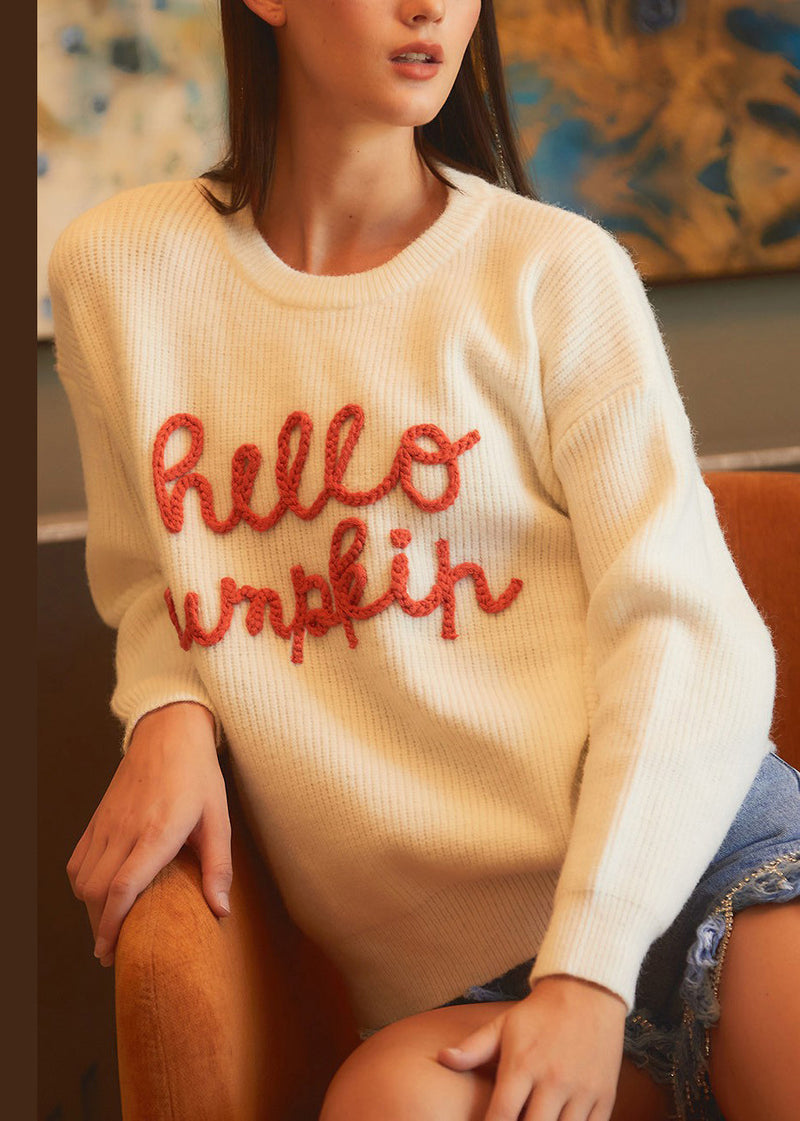 Simple Beige Letter Hollow Out Cozy Knit Sweaters Fall Ae1011