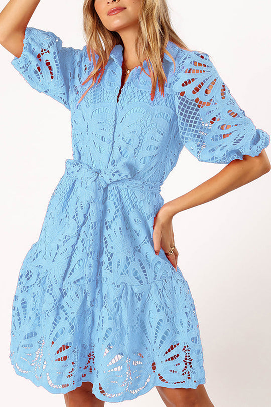 Color Lace Cutout Balloon Sleeves and Waist Tie Mini Dress