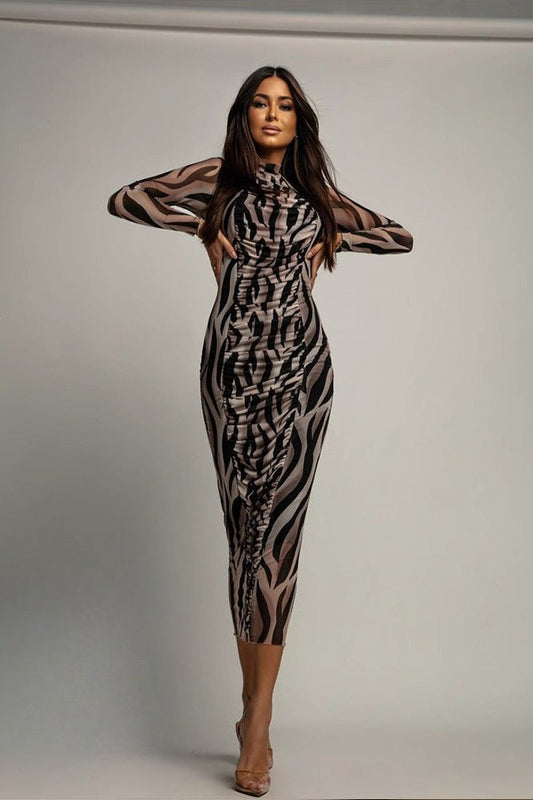 Print Ruched Mesh Long Sleeve Bodycon Maxi Dress