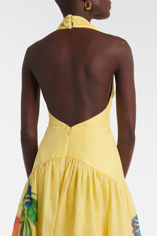 Print Halterneck Open Back Full Hem Maxi Dress