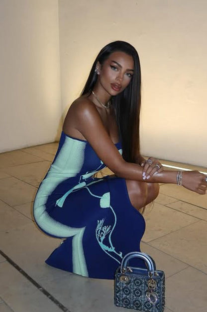 Print Sleeveless Bodycon Maxi Dress
