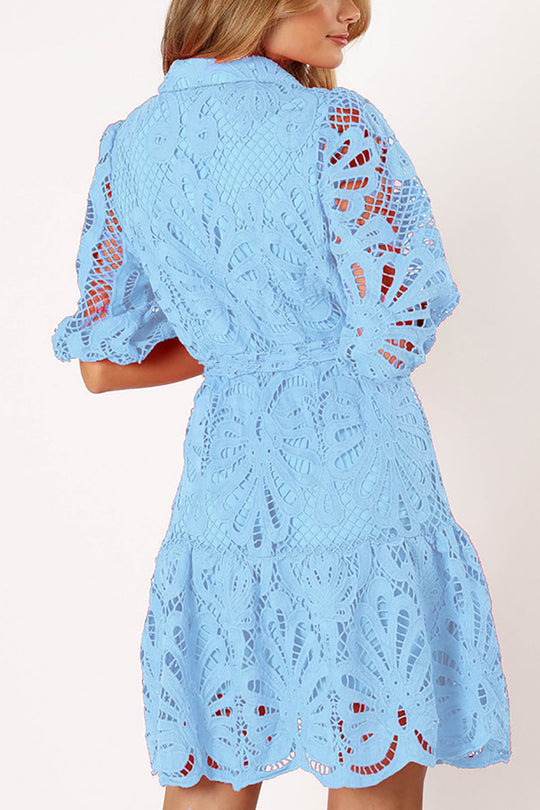 Color Lace Cutout Balloon Sleeves and Waist Tie Mini Dress