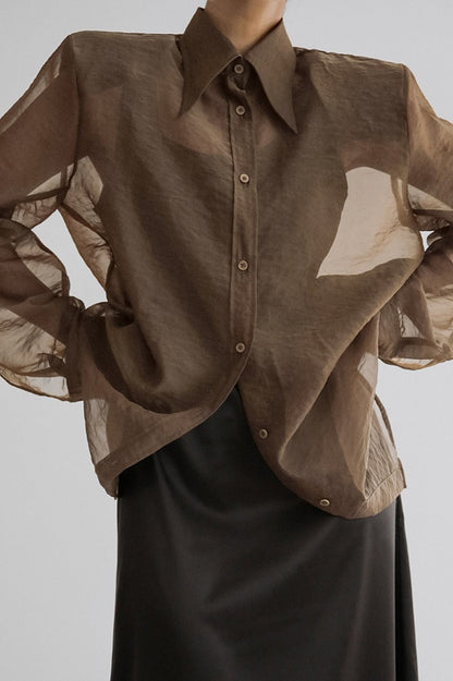 Mesh Sheer Long-sleeve Loose Blouse