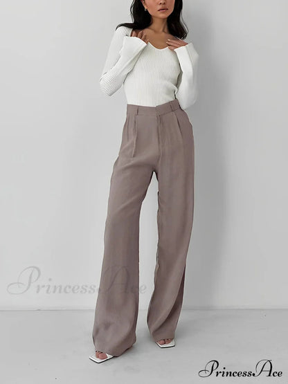 Business Pleat Wide Leg Dress Pants