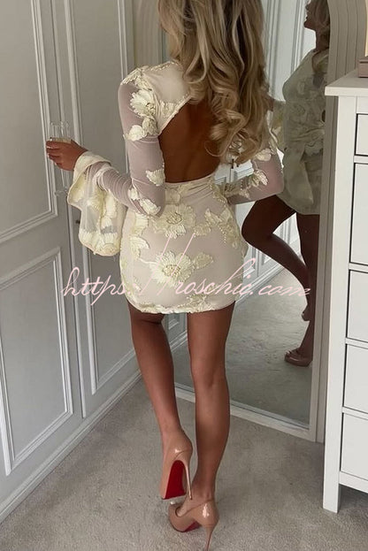 Embroidery Round Neck Long Sleeve Slim Fit Mini Dress