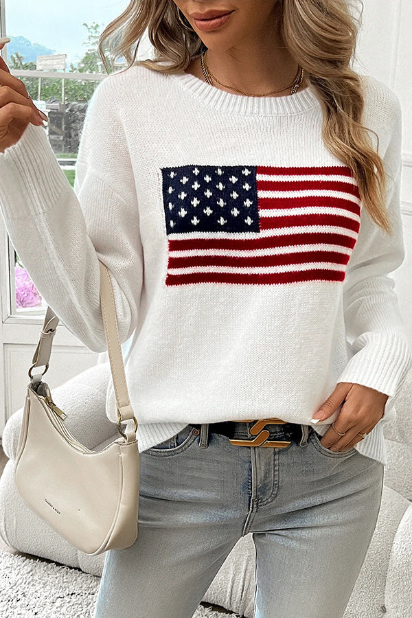 Flag Pattern Knitted Crewneck Long Sleeve Sweater