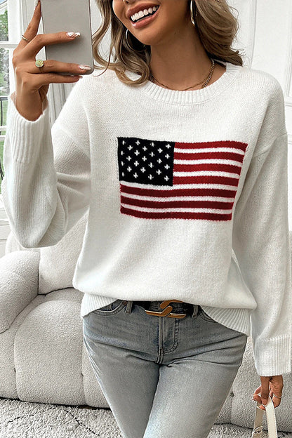 Flag Pattern Knitted Crewneck Long Sleeve Sweater