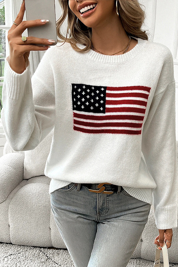 Flag Pattern Knitted Crewneck Long Sleeve Sweater