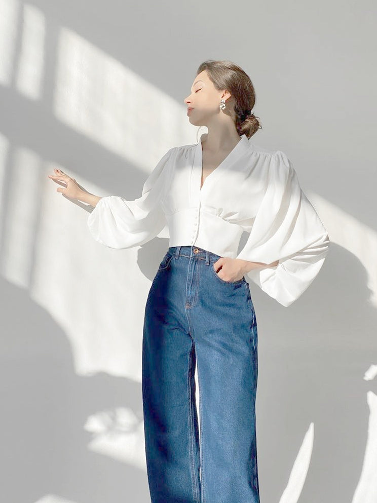 Lantern Sleeve V-neck Slim Fit Blouse