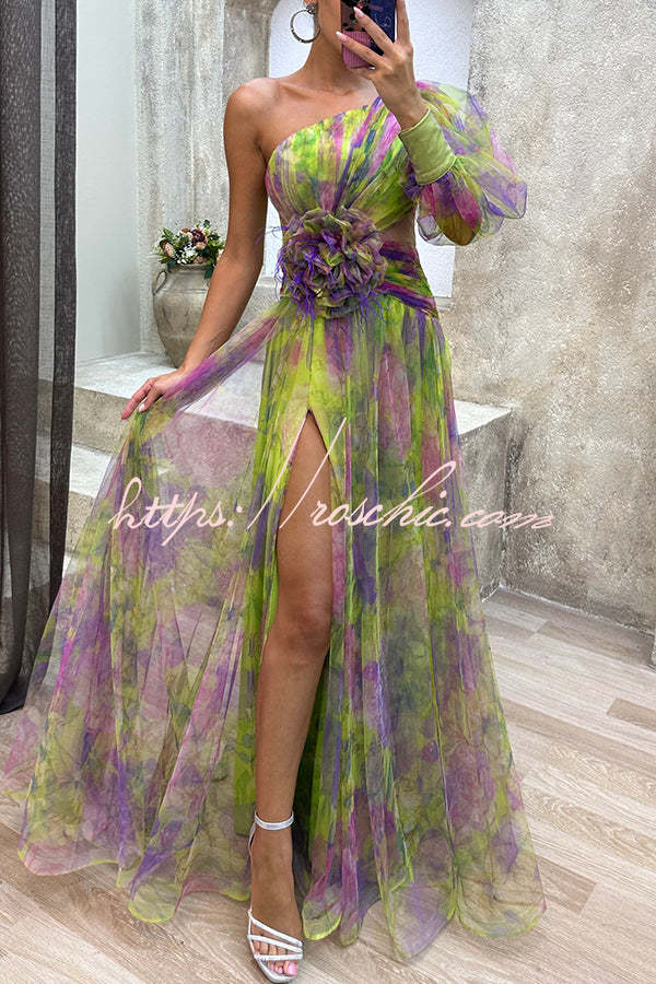 Picturesque Beauty Tulle Pleated One Shoulder Sleeve Slit Maxi Dress