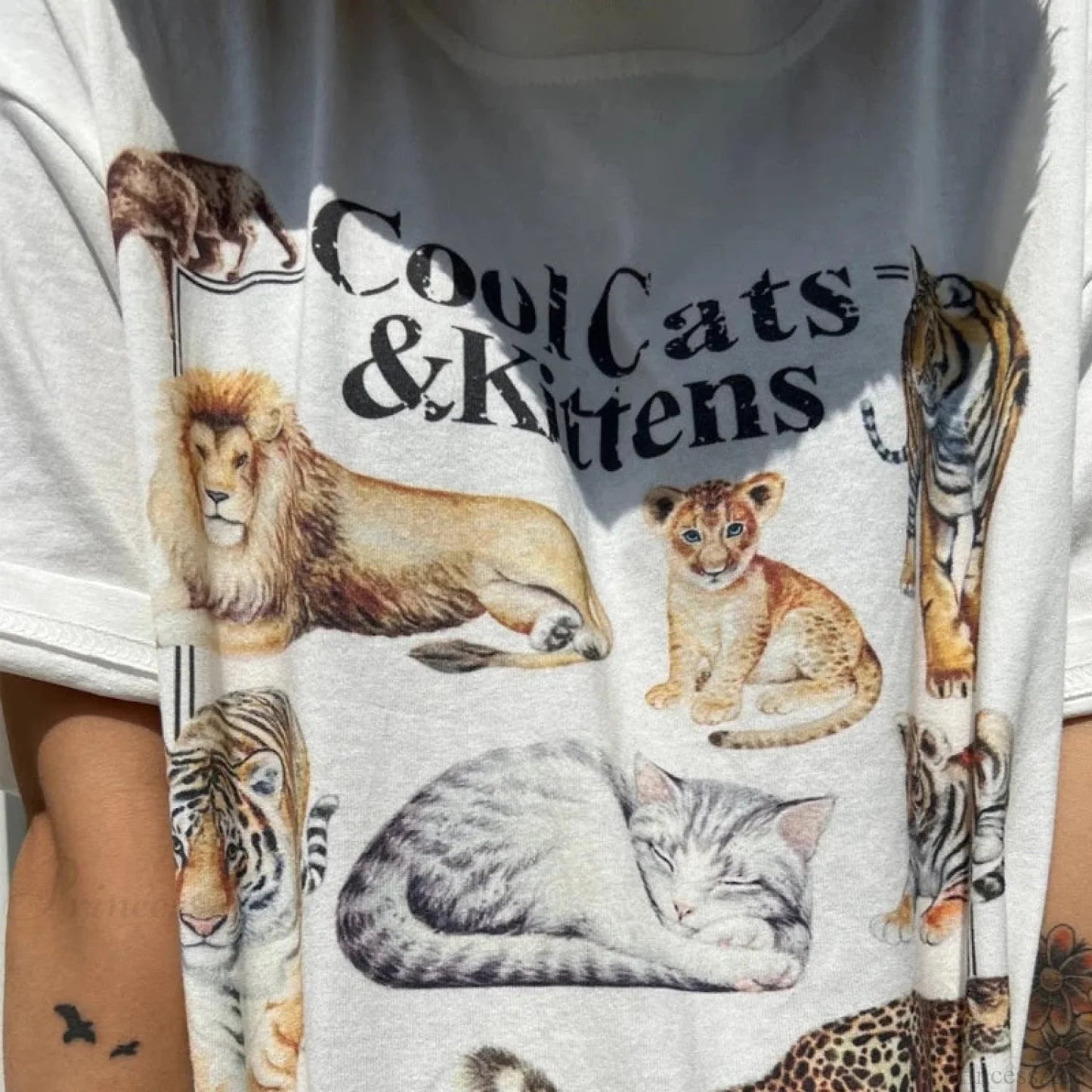 Cool Cats and Kittens T-shirt
