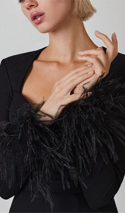 Stretch Long Sleeves Feather Mini Dress in Black