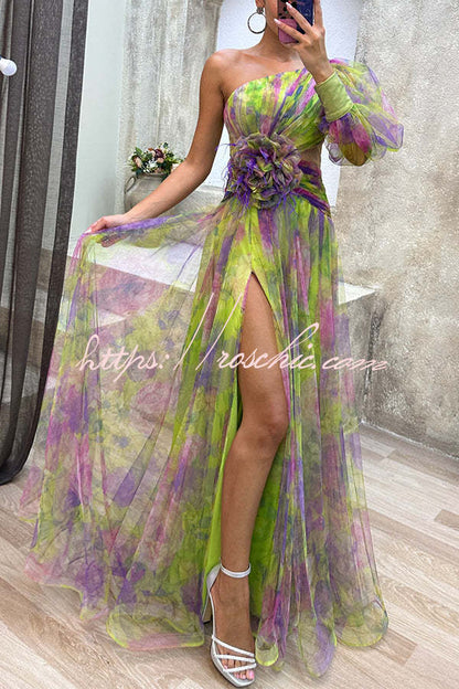 Picturesque Beauty Tulle Pleated One Shoulder Sleeve Slit Maxi Dress