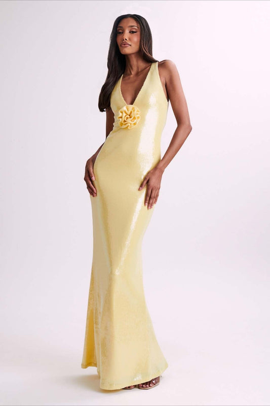 Backless Sequin Maxi Dress