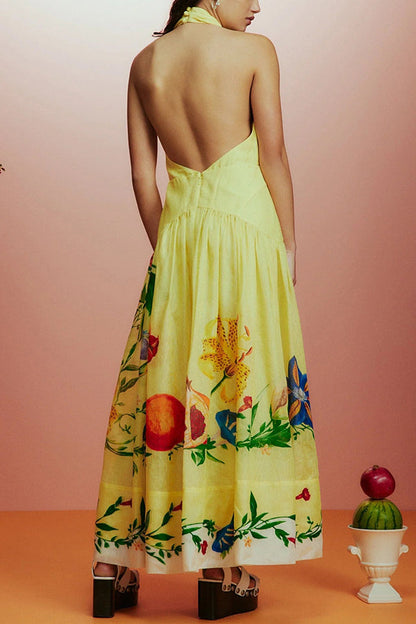 Print Halterneck Open Back Full Hem Maxi Dress