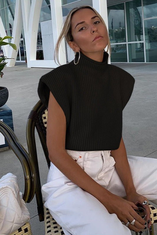 Turtleneck Short Sleeve Sweater