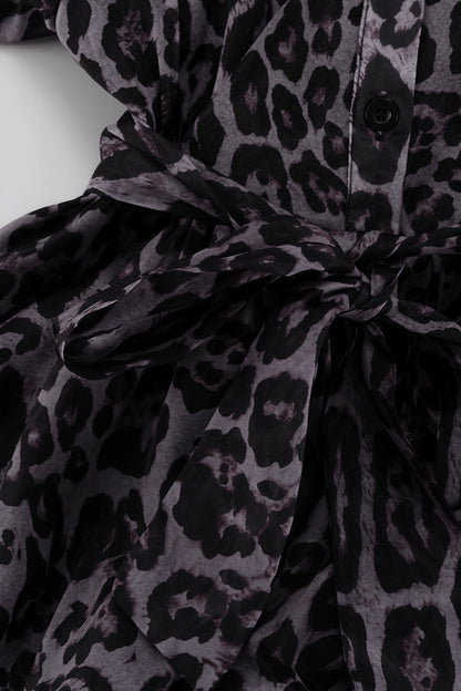Chiffon Leopard Print Long Sleeve Mini Dress