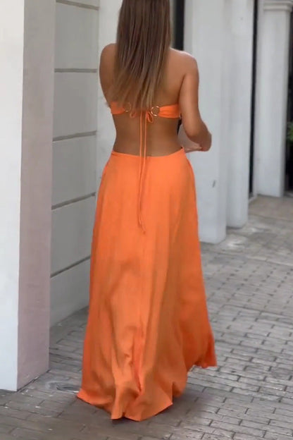 Halter Neck Backless Sleeveless Maxi Dress