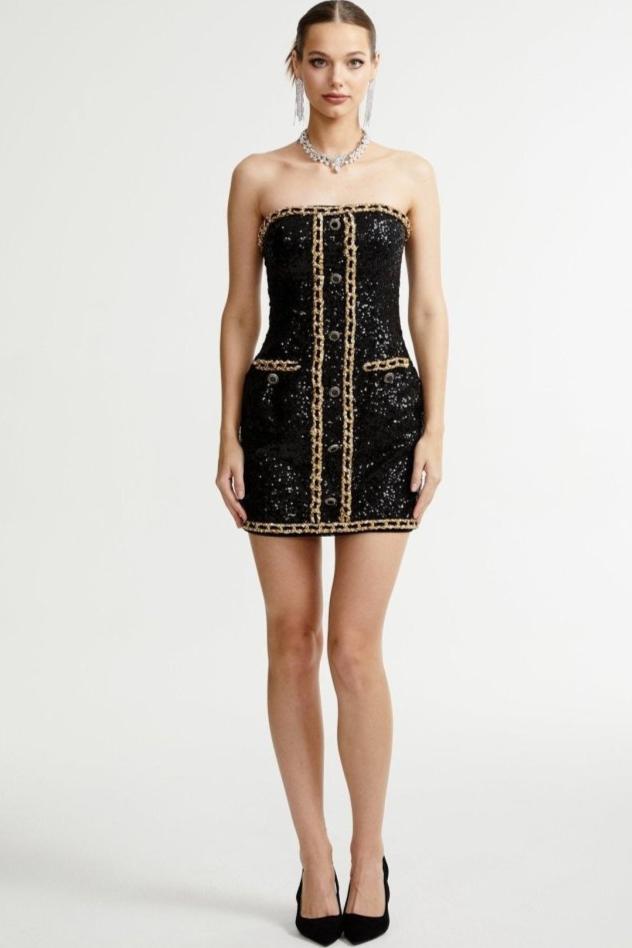 Freda Embroidered Sequins Strapless Mini Dress
