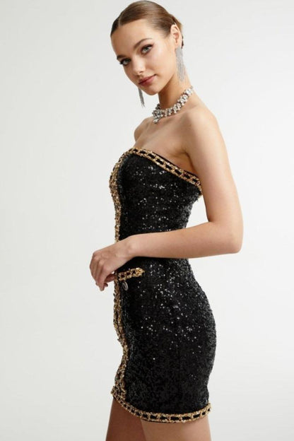 Freda Embroidered Sequins Strapless Mini Dress