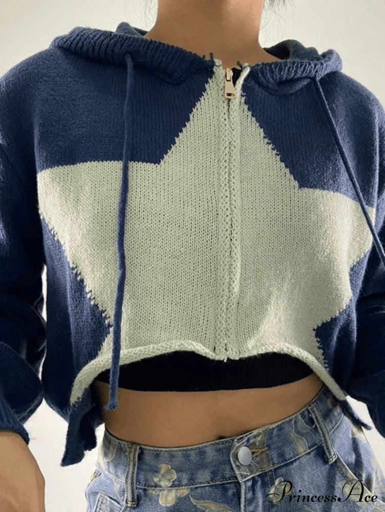 Hooded Color Sweatshirt Dress