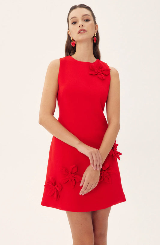 Madeline Sleeveless Applique Mini Dress
