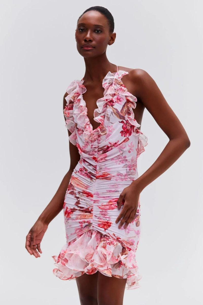 Haze Stretch Tulle Sleeveless Mini Dress