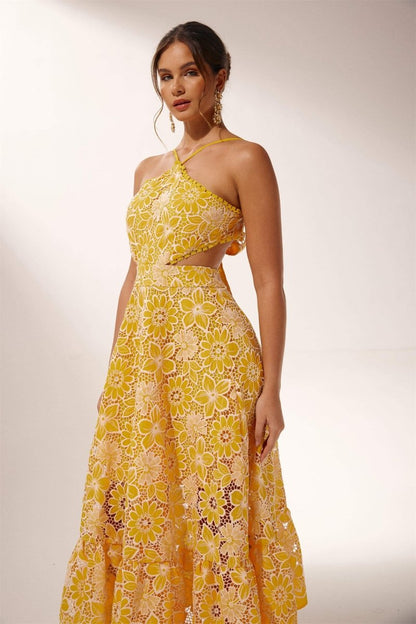 Jessica Embroidered Lace Halterneck Midi Dress