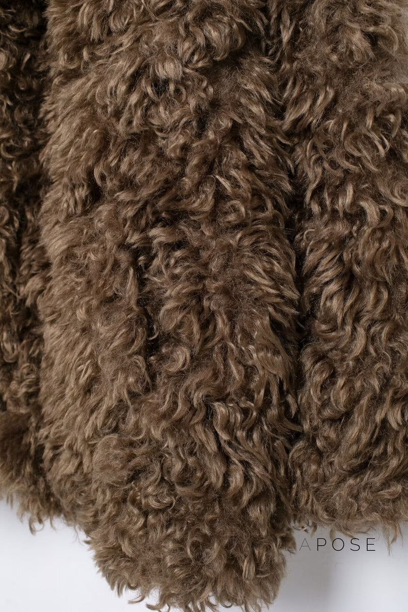 Alexzandria Faux Fur Teddy Coat