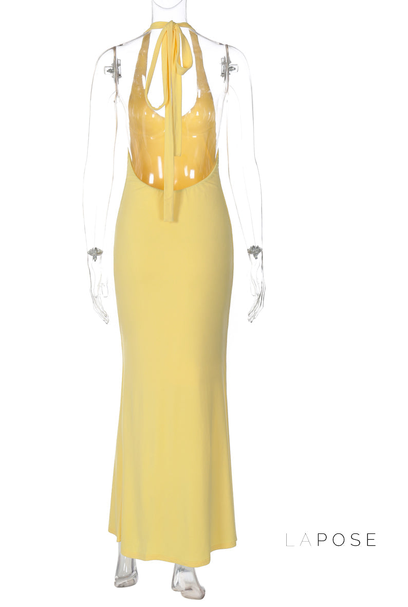 Holley Backless Halter Maxi Dress