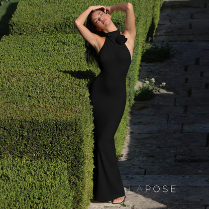 Iliana Halter Backless Maxi Dress