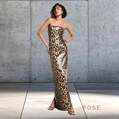 Karsen Leopard Print Tube Maxi Dress