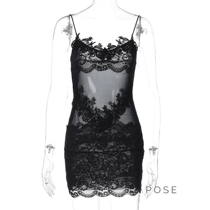 Whitleigh Lace Mesh Mini Dress