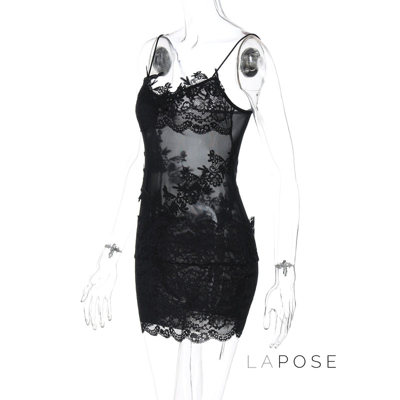 Whitleigh Lace Mesh Mini Dress