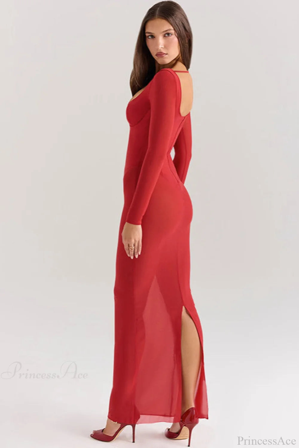 Mesh Long Sleeve Fitted Maxi Dress