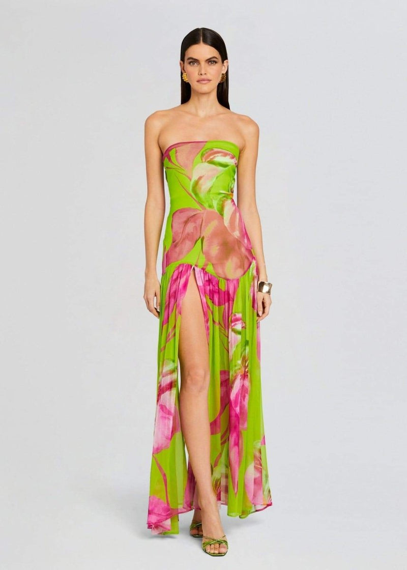 Nydia Printed Strapless Maxi Dress