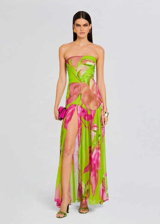 Nydia Printed Strapless Maxi Dress