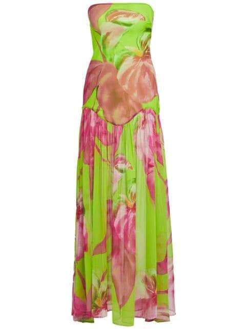 Nydia Printed Strapless Maxi Dress
