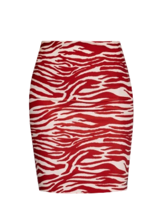 Red Printed One Piece Swimsuit and Skirt